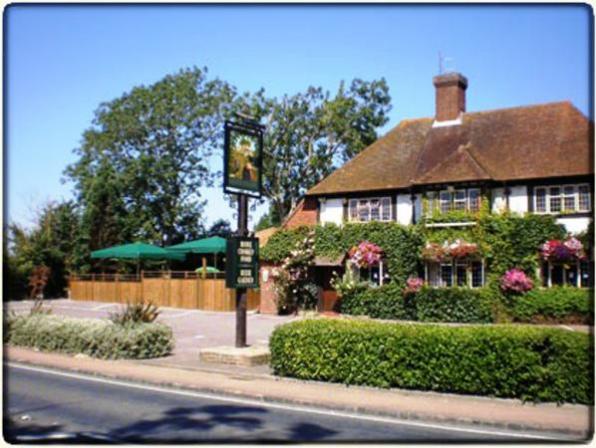 e-sussex-green-man-ringmer e-sussex-green-man-ringmer