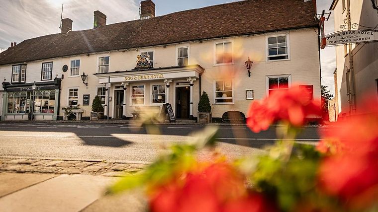 dog-and-bear-lenham dog-and-bear-lenham